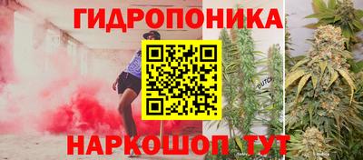 кокс Кунгур