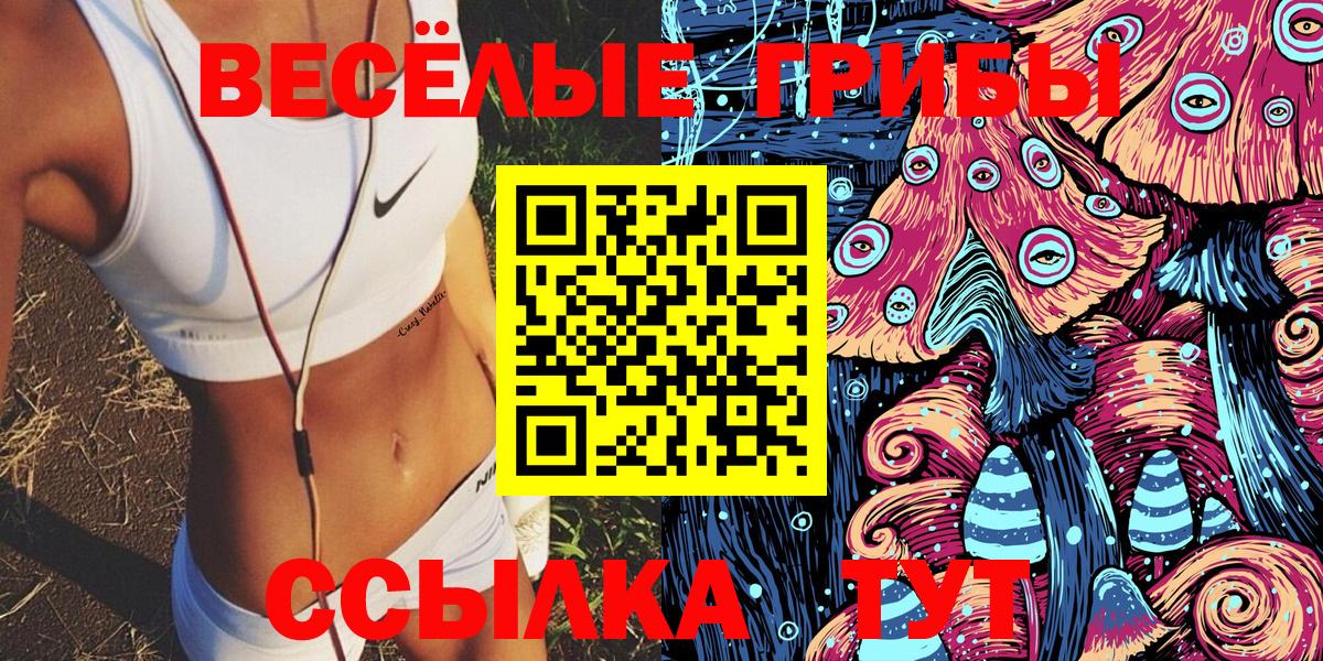 Галлюциногенные грибы мицелий  Вход с VPN  Каменка  Псилоцибиновые грибы мицелий 